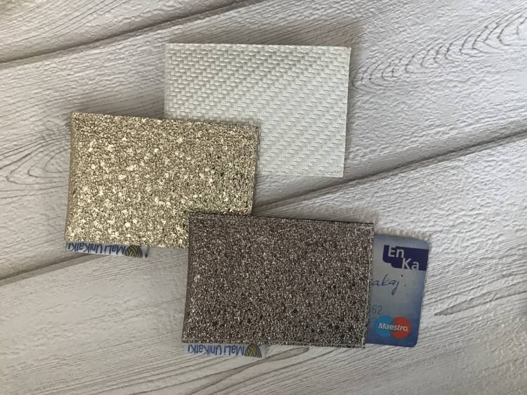 Etui za zaščito brezstičnih kartic 438